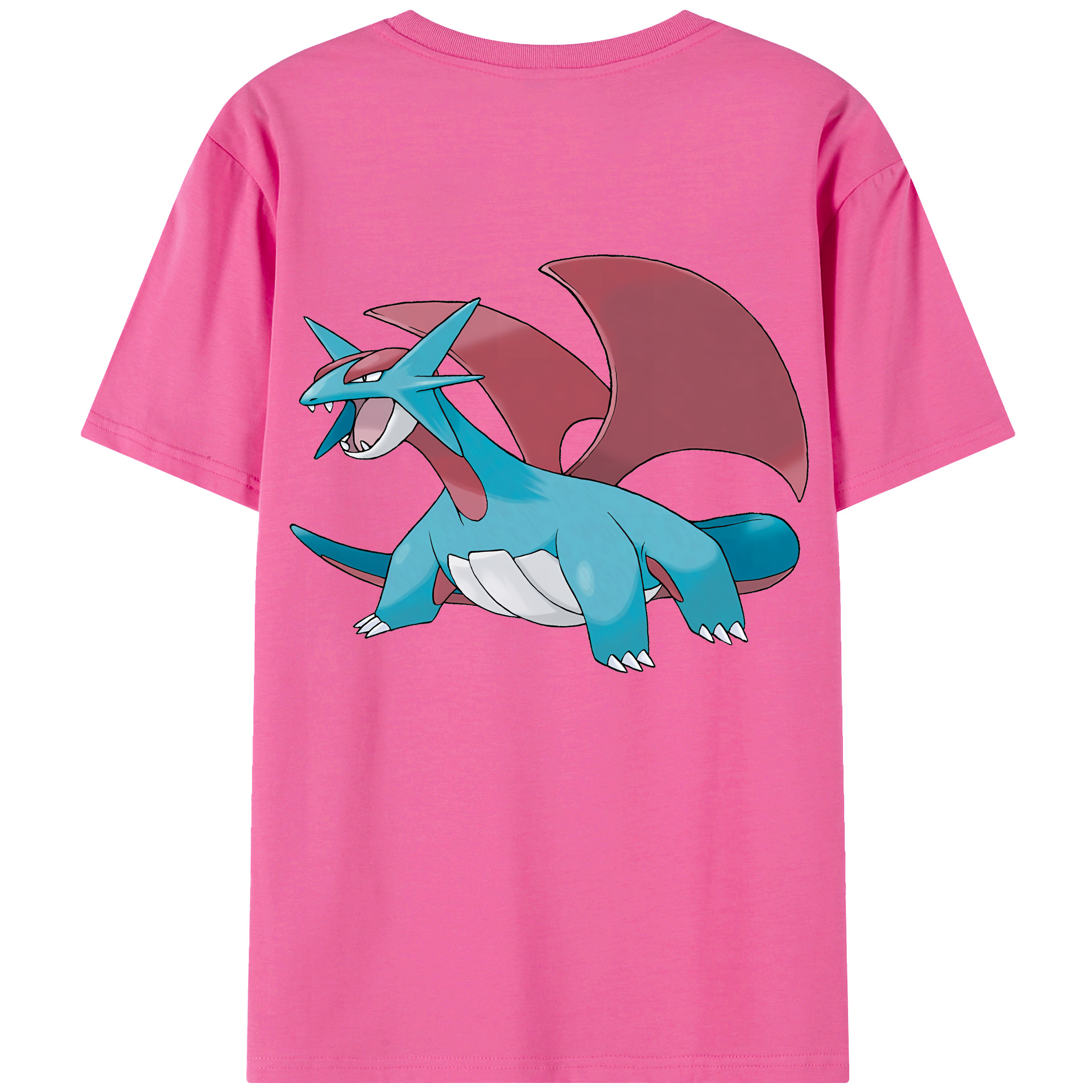 （画像用） ポケットモンスター Pokémon レディース半袖Tシャツ(バックプリント)